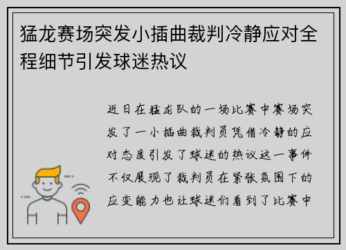猛龙赛场突发小插曲裁判冷静应对全程细节引发球迷热议